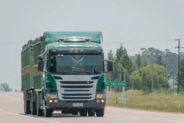 Slate EV Truck: Plywood Capacity & Cargo Details