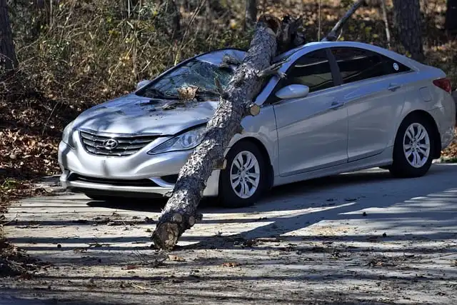 Tire Slit Spikes: Mystery on the Roadway